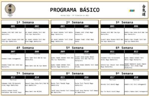 Programa Basico aikido